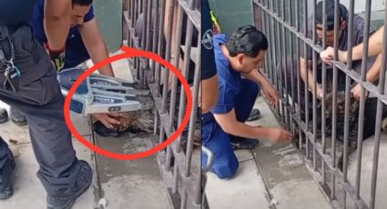 VIDEO | Protección Civil Monterrey rescata a perro atrapado en barandal de forja