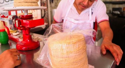 Precio de la tortilla sube en Nuevo León y podría llegar hasta los 32 pesos por kilo