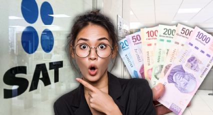 SAT inicia devolución de impuestos: ¿cómo consultar el estatus de tu saldo a favor fácil y rápido?