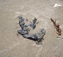 La verdad oculta del derrame en el Golfo: Pemex, Greenpeace y la opacidad que indigna