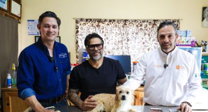 Arrancará Nuevo León campaña preventiva contra gusano barrenador en mascotas