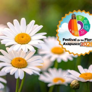 Festival de Flores y Cactáceas 2026: Fechas, globos de cantoya y cómo llegar