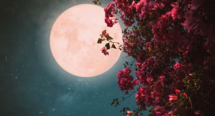 Luna Rosa 2026: Cuándo y cómo ver el primer plenilunio de primavera en México