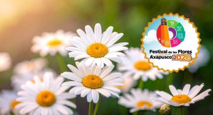 Festival de Flores y Cactáceas 2026: Fechas, globos de cantoya y cómo llegar