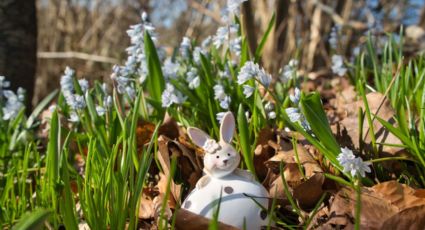 Clima en Monterrey para Sábado y Domingo de Pascua: ¿Qué esperar estos días?