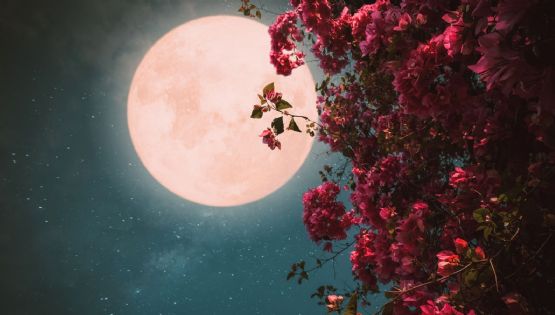 Luna Rosa 2026: Cuándo y cómo ver el primer plenilunio de primavera en México