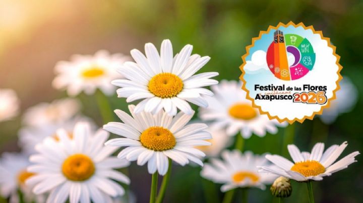 Festival de Flores y Cactáceas 2026: Fechas, globos de cantoya y cómo llegar