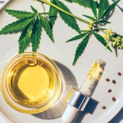 ¿Cómo funciona realmente la marihuana medicinal?