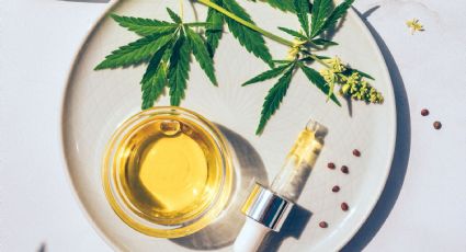 ¿Cómo funciona realmente la marihuana medicinal?