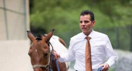 Mike Flores adopta a 'Manchas', yegua rescatada de maltrato en Monterrey; así será su nueva vida en un santuario