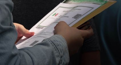 La CURP biométrica para pasaporte, ¿es necesaria para viajar?