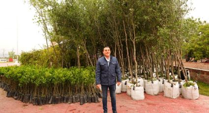 Manuel Guerra anuncia la entrega de 10 mil arboles GRATIS en García: ¿Cuándo y dónde será?