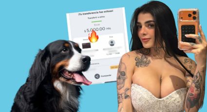 Karely Ruiz apoyará fundaciones de mascotas: Pide a seguidores etiquetar refugios para donar alimento y esterilizaciones