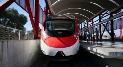 El Estado adquiere el Tren Suburbano