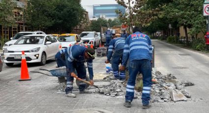 Monterrey retira jardineras en Ocampo y Escobedo para mejorar la movilidad