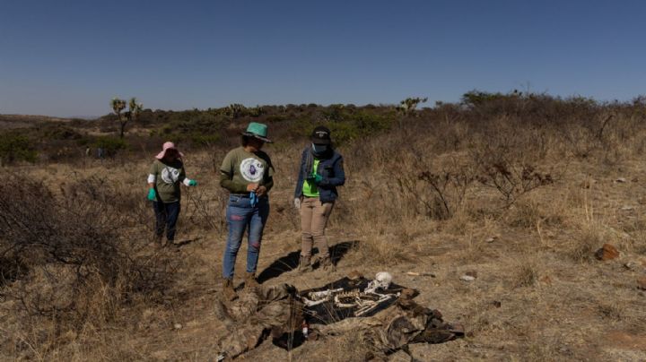 Colectivo localiza mil 467 restos humanos en Tláhuac