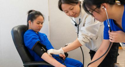 Plomo en la sangre: Síntomas, niveles de riesgo y cómo afecta la salud de niños y adultos