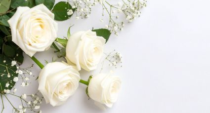 Caso Lina Rodríguez: El gremio ganadero exige respuestas