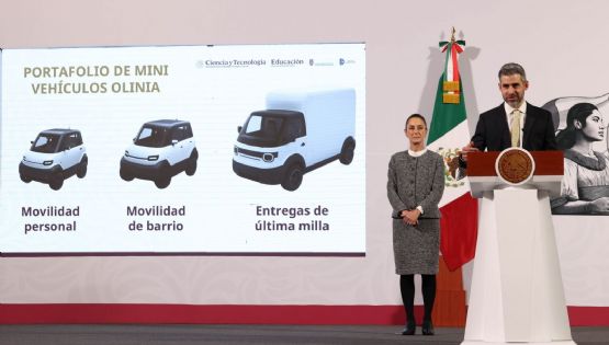 ¿Cuánto costará Olinia?