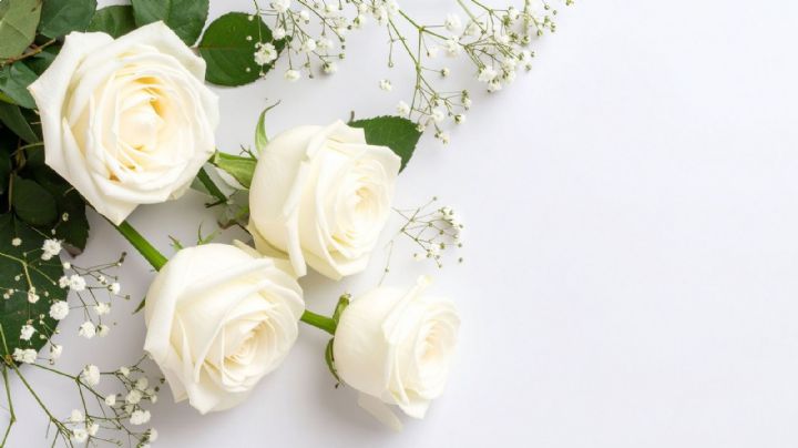 Caso Lina Rodríguez: El gremio ganadero exige respuestas