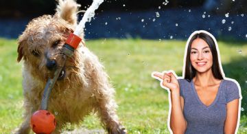 Clima en Monterrey: Onda de calor eleva el termótetro hasta los 45 grados este domingo 26 de abril