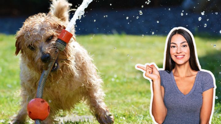 Clima en Monterrey: Onda de calor eleva el termótetro hasta los 45 grados este domingo 26 de abril