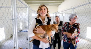 BC eleva penas por maltrato animal