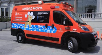 Nueva unidad veterinaria en Guadalupe ofrecerá atención gratuita a mascotas