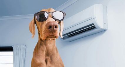 ¿No tienes clima? Así puedes bajar la temperatura de una habitación