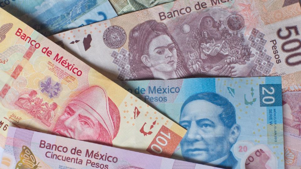Muchos de estos trabajadores cuentan con posgrados y compitieron al más alto nivel en los mercados financieros.