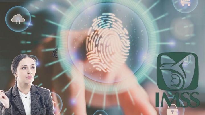 Este es el documento obligatorio que pide el IMSS para realizar trámites 