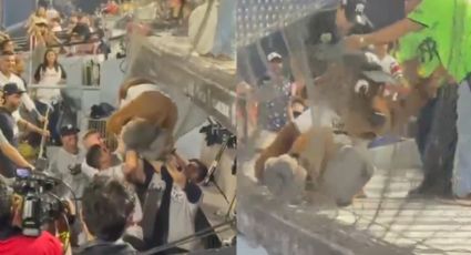 VIDEO | ¡Se cayó el Perro Sultán! Jugadores se juntan para rescatarlo
