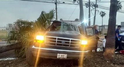 Joven de 17 años muere tras impactar camioneta contra palmera en Apodaca; el conductor tiene 14 años