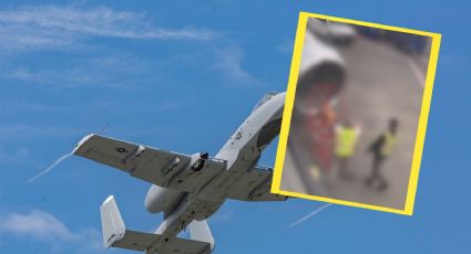 VIDEO | Enjambre de abejas retrasa despegue de avión en aeropuerto de Carolina del Norte