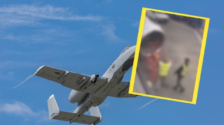 VIDEO | Enjambre de abejas retrasa despegue de avión en aeropuerto de Carolina del Norte