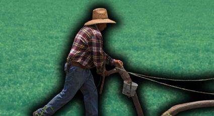 De la extorsión al desabasto: El impacto de la crisis del campo mexicano