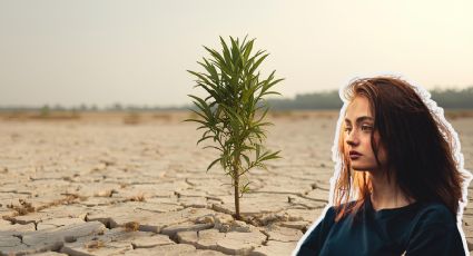 Sequía en Nuevo León 2025: 19 municipios afectados; Anáhuac en nivel extremo