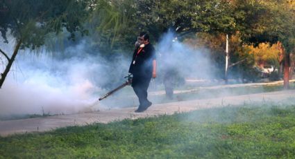 Intensifican fumigación y descacharrización en Guadalupe para prevenir dengue