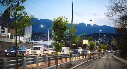 Nuevo León se pone verde: inicia arborización de circuitos lineales en Morones Prieto con 240 árboles