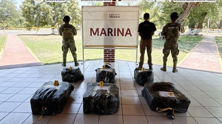 Aseguran en Michoacán embarcación con 265 kilos de cocaína