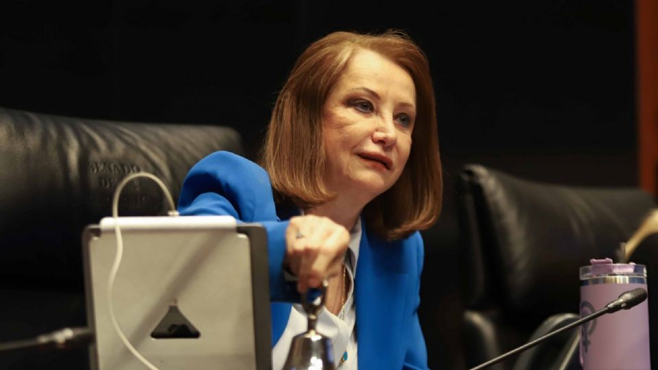 Presidenta de la Mesa Directiva, Laura Itzel Castillo,