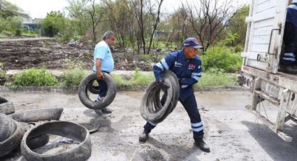Monterrey realiza macrooperativo en Cumbres con limpieza y reforestación