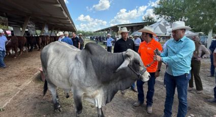 Ganaderos de Nuevo León piden reforzar campañas sanitarias para reactivar exportaciones