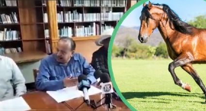 Disculpa pública por comparar a mujeres con caballos, exigen a diputado del PT