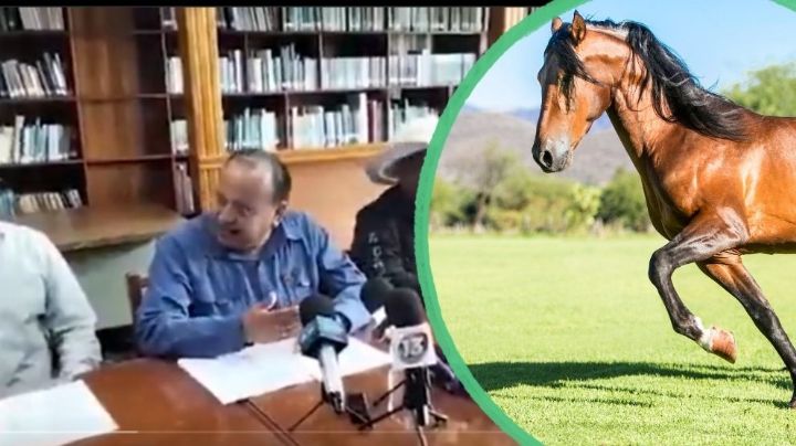 Disculpa pública por comparar a mujeres con caballos, exigen a diputado del PT