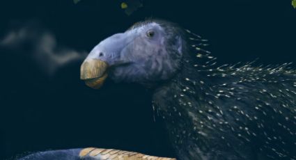 Dinosaurio con espinas: El hallazgo que altera la prehistoria