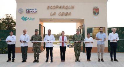 Tren Maya: La conexión clave que unirá a México