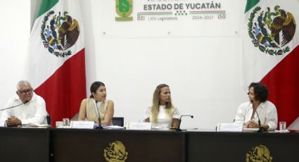 Avanza en Comisión de Salud el análisis de iniciativas sobre vacunación y prevención