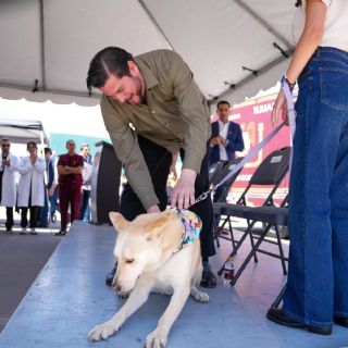Impulsan estrategia de bienestar animal con unidades móviles.