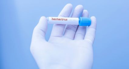 Letalidad del 30%: Síntomas del hantavirus que debes conocer